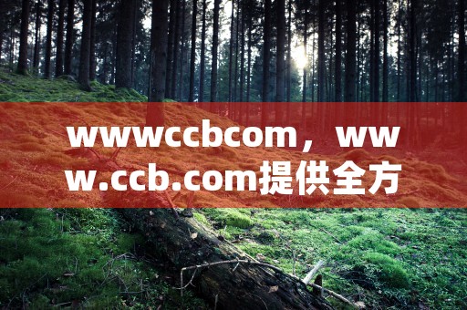 wwwccbcom，www.ccb.com提供全方位的金融服务