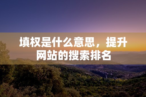 填权是什么意思，提升网站的搜索排名