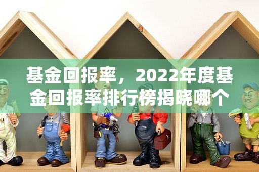 基金回报率，2022年度基金回报率排行榜揭晓哪个基金赚得最多