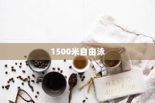 1500米自由泳