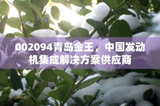 002094青岛金王，中国发动机集成解决方案供应商