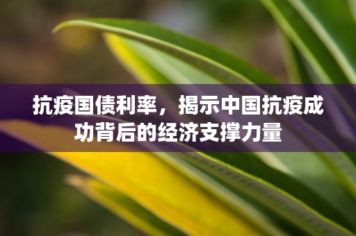 抗疫国债利率，揭示中国抗疫成功背后的经济支撑力量