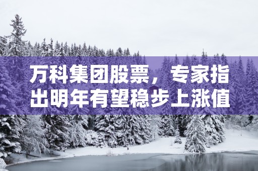 万科集团股票，专家指出明年有望稳步上涨值得关注