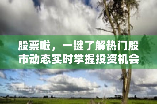 股票啦，一键了解热门股市动态实时掌握投资机会