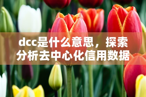 dcc是什么意思，探索分析去中心化信用数据协议的含义