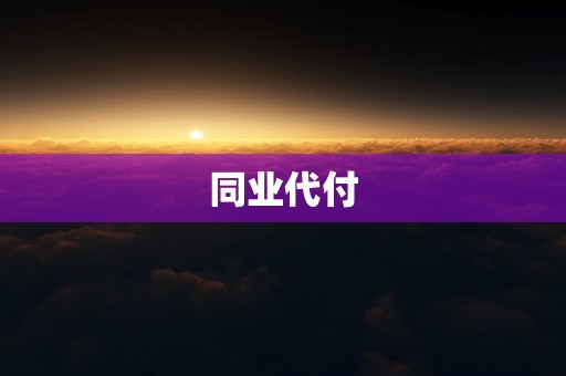 同业代付