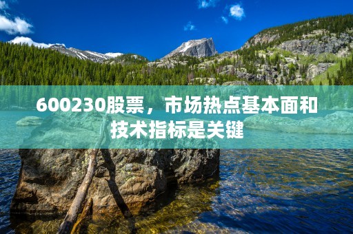 600230股票，市场热点基本面和技术指标是关键