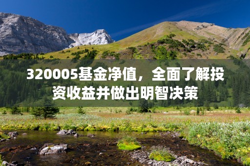 320005基金净值，全面了解投资收益并做出明智决策