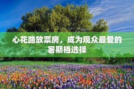 心花路放票房，成为观众最爱的暑期档选择