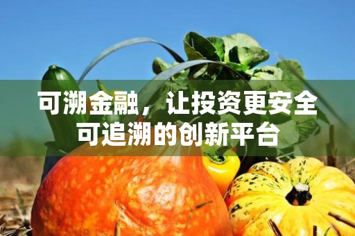 可溯金融，让投资更安全可追溯的创新平台