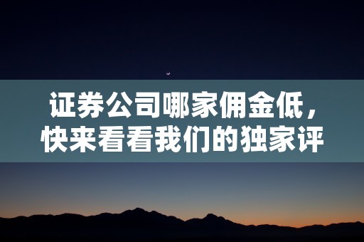 证券公司哪家佣金低，快来看看我们的独家评估结果