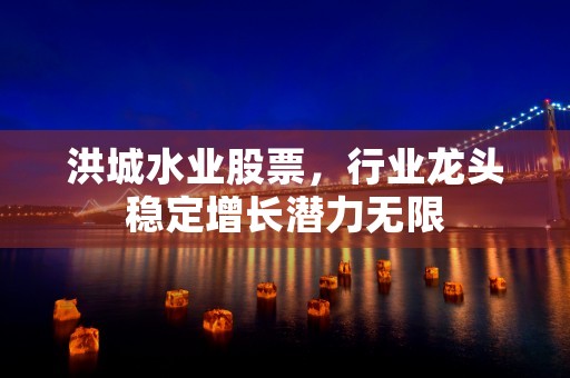 洪城水业股票，行业龙头稳定增长潜力无限