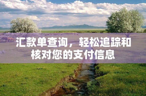 汇款单查询，轻松追踪和核对您的支付信息