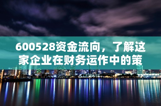 600528资金流向，了解这家企业在财务运作中的策略和决策