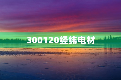 300120经纬电材