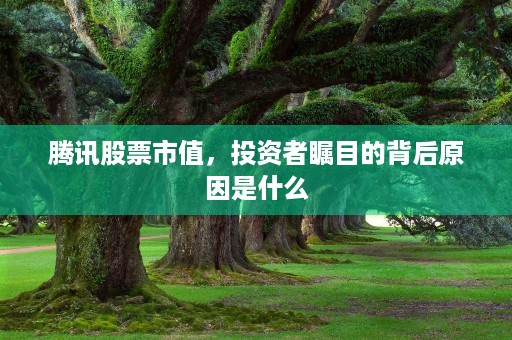 腾讯股票市值，投资者瞩目的背后原因是什么