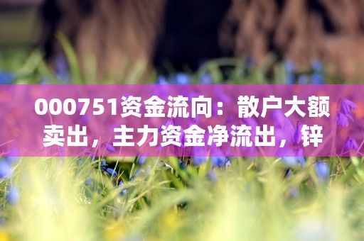 000751资金流向：散户大额卖出，主力资金净流出，锌业股份何去何从？