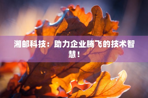 湘邮科技：助力企业腾飞的技术智慧！