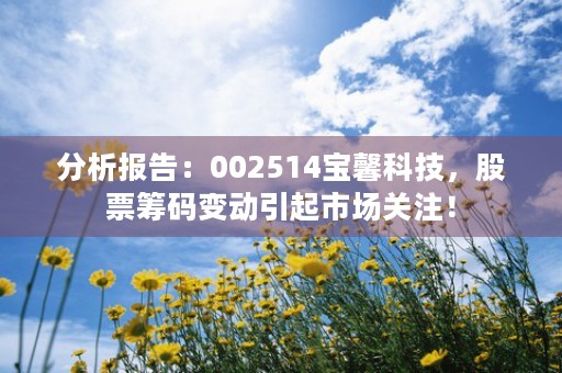 分析报告：002514宝馨科技，股票筹码变动引起市场关注！