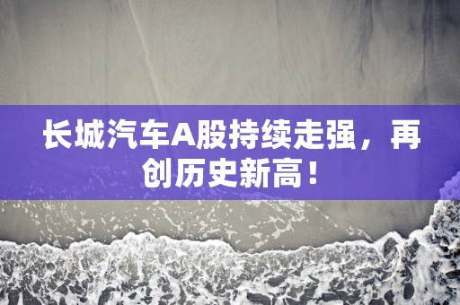 长城汽车A股持续走强，再创历史新高！