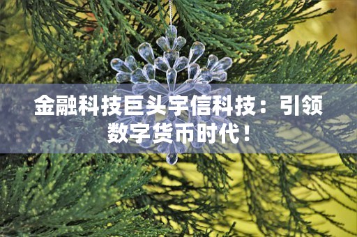 金融科技巨头宇信科技：引领数字货币时代！