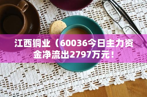 江西铜业（60036今日主力资金净流出2797万元！