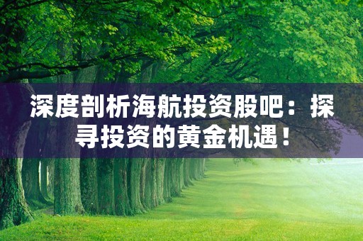 深度剖析海航投资股吧：探寻投资的黄金机遇！