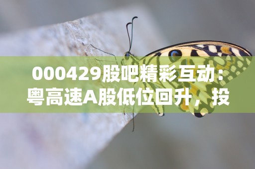 000429股吧精彩互动：粤高速A股低位回升，投资者集中讨论利润增长！