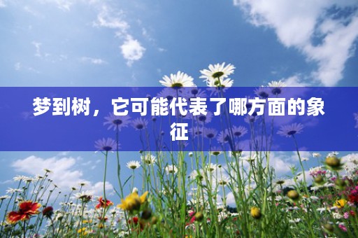 八面玲珑打一生肖，你能解开八面玲珑打一生肖的答案吗