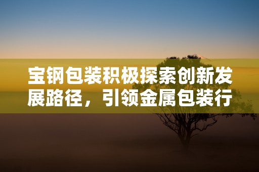 宝钢包装积极探索创新发展路径，引领金属包装行业潮流