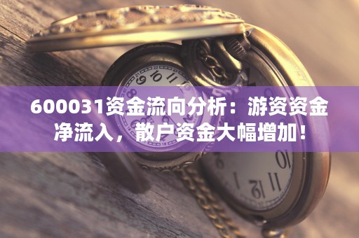 600031资金流向分析：游资资金净流入，散户资金大幅增加！