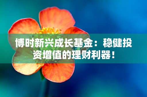 博时新兴成长基金：稳健投资增值的理财利器！