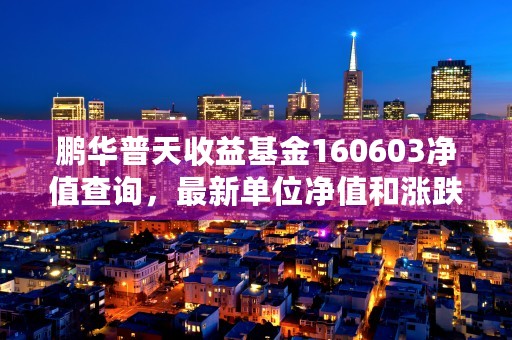 鹏华普天收益基金160603净值查询，最新单位净值和涨跌幅信息揭晓！