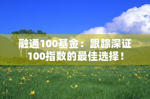 融通100基金：跟踪深证100指数的最佳选择！