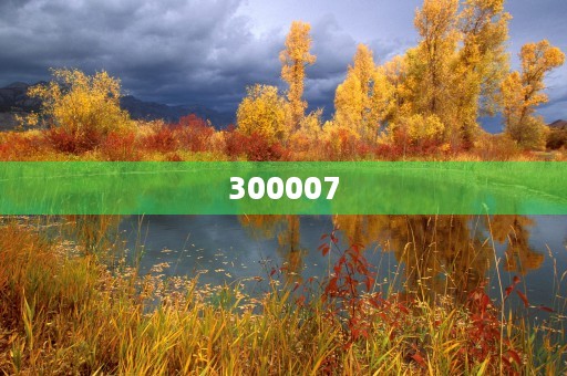 300007