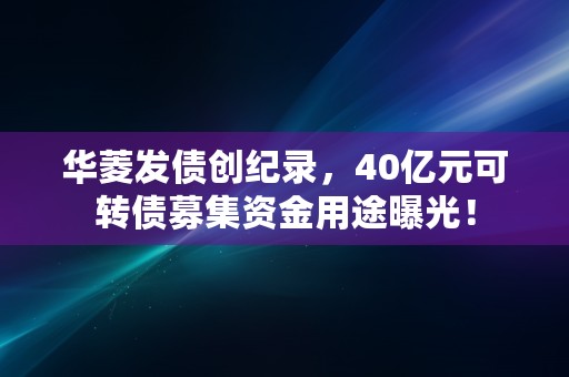 华菱发债创纪录，40亿元可转债募集资金用途曝光！