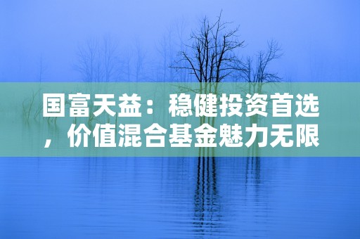 国富天益：稳健投资首选，价值混合基金魅力无限！