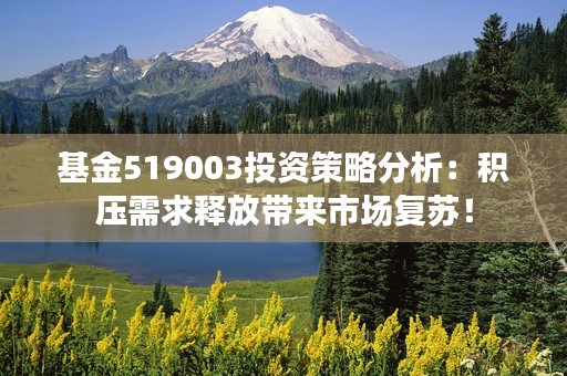 基金519003投资策略分析：积压需求释放带来市场复苏！