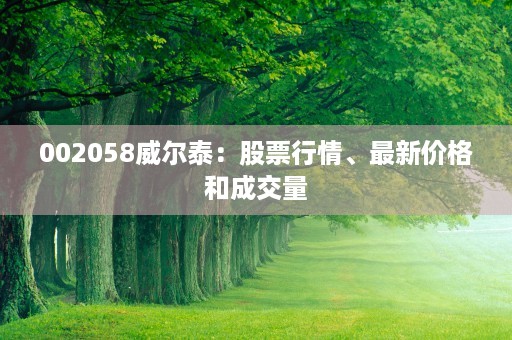 002058威尔泰：股票行情、最新价格和成交量