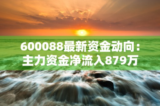 600088最新资金动向：主力资金净流入879万元