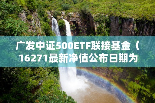 广发中证500ETF联接基金（16271最新净值公布日期为202101