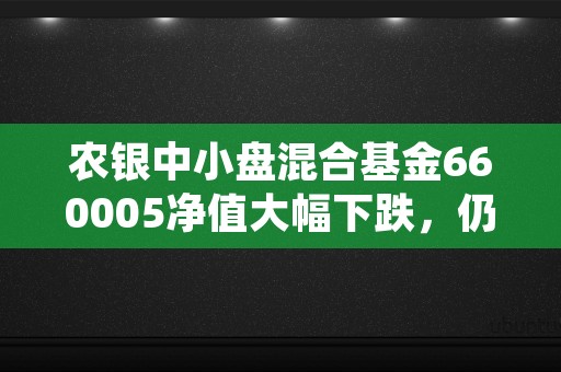 农银中小盘混合基金660005净值大幅下跌，仍有机会买入吗？