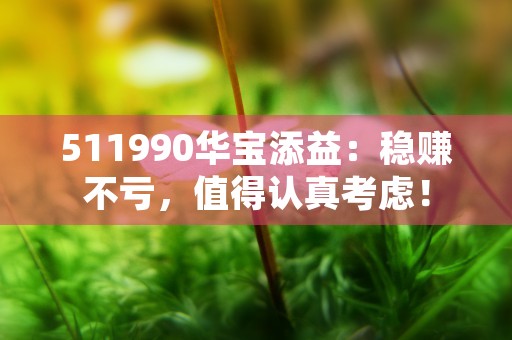 511990华宝添益：稳赚不亏，值得认真考虑！