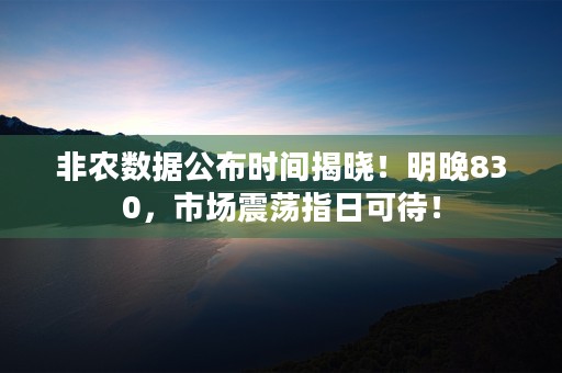 简单便捷！国寿e家网络版为保险业务员带来高效执行力！