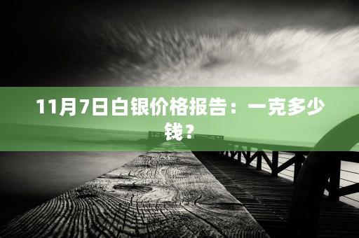 11月7日白银价格报告：一克多少钱？