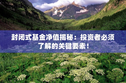 封闭式基金净值揭秘：投资者必须了解的关键要素！