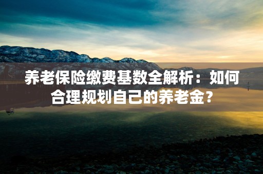 养老保险缴费基数全解析：如何合理规划自己的养老金？