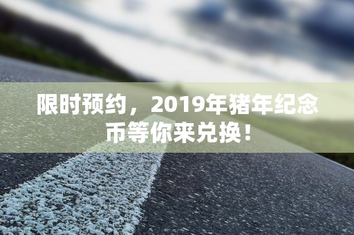 限时预约，2019年猪年纪念币等你来兑换！