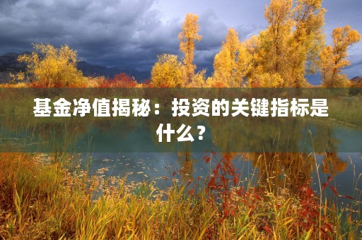 基金净值揭秘：投资的关键指标是什么？