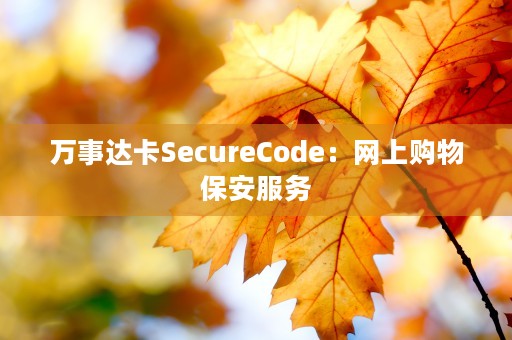 万事达卡SecureCode：网上购物保安服务